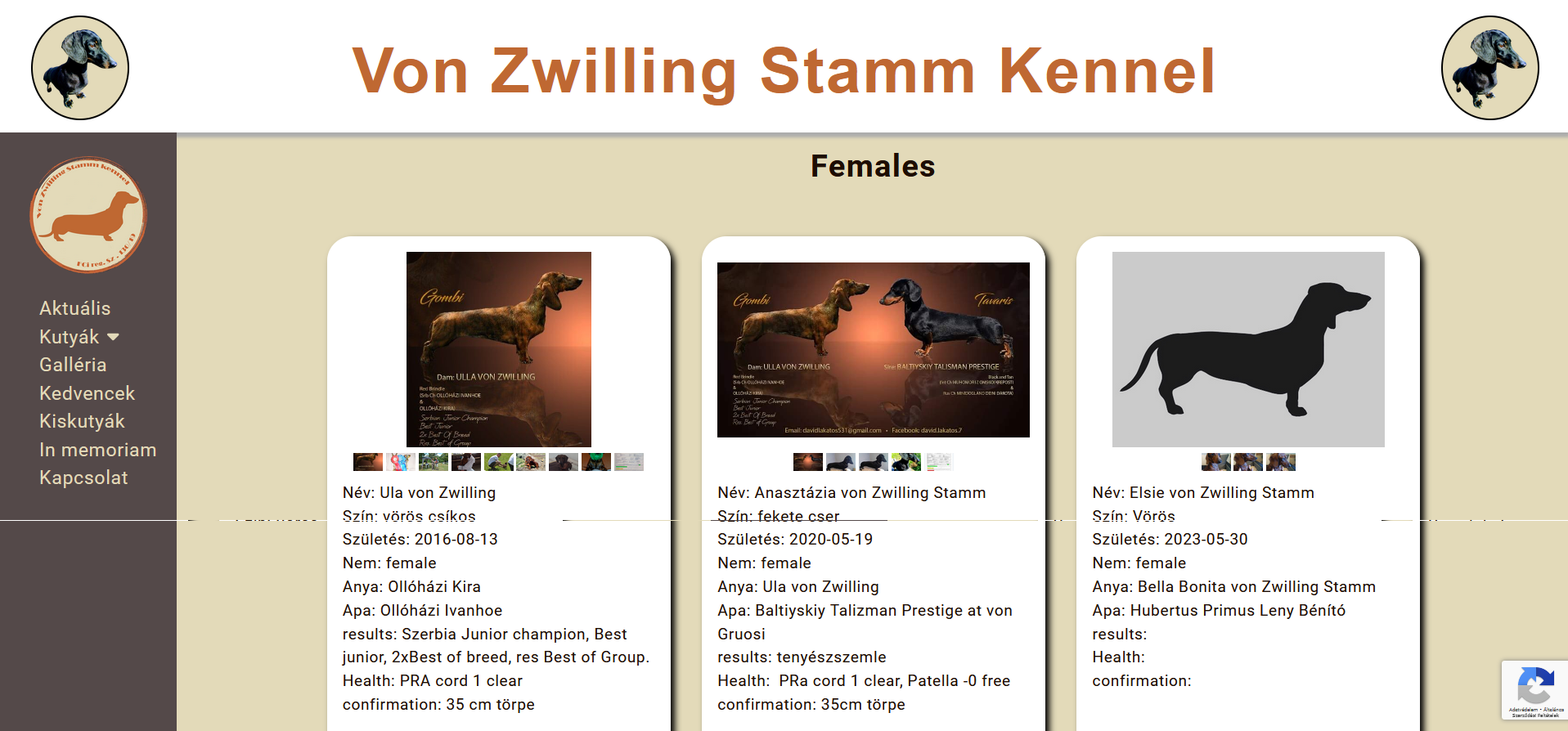 Von Zwilling Stamm Kennel